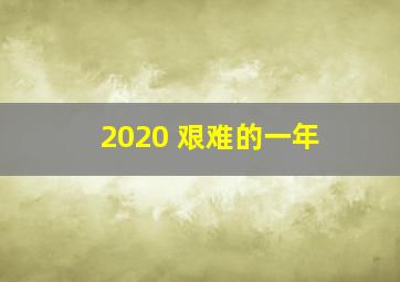 2020 艰难的一年